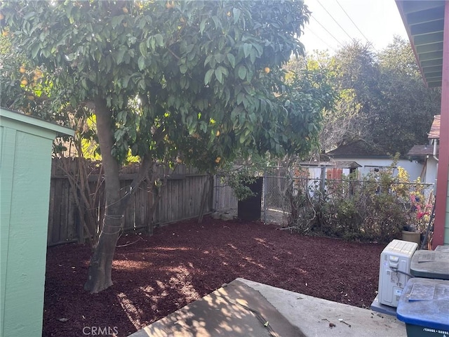 view of yard with a patio area