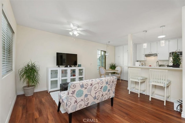 living room featuring ceiling fan and dark hardwood / wood-style floors