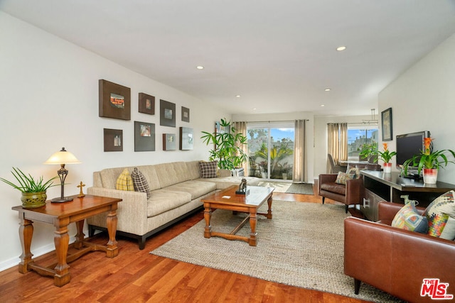 living room featuring wood-type flooring