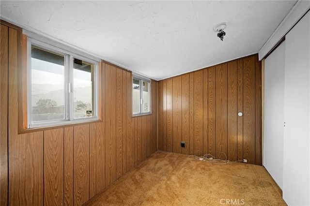 empty room featuring carpet and wooden walls