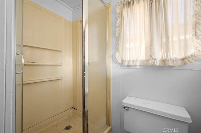 bathroom featuring plenty of natural light, toilet, and a shower with door