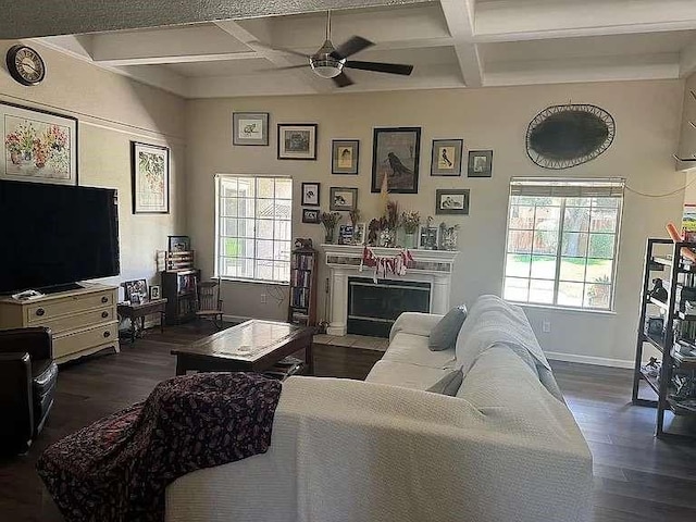 living room with dark hardwood / wood-style floors, ceiling fan, coffered ceiling, and beamed ceiling