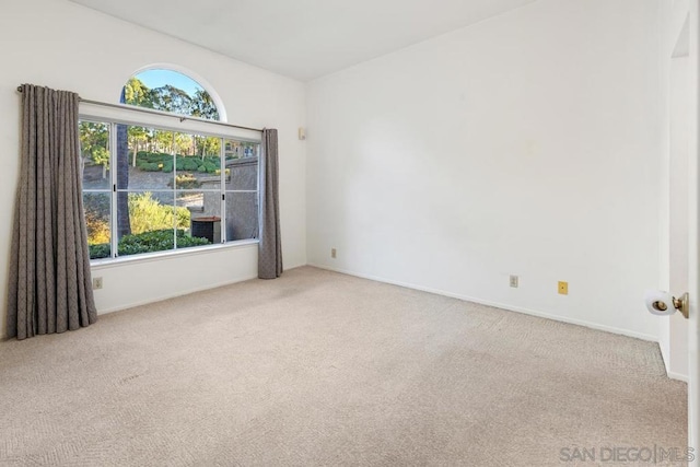 spare room with a healthy amount of sunlight and light carpet