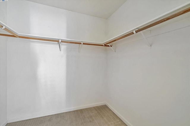 spacious closet featuring carpet flooring