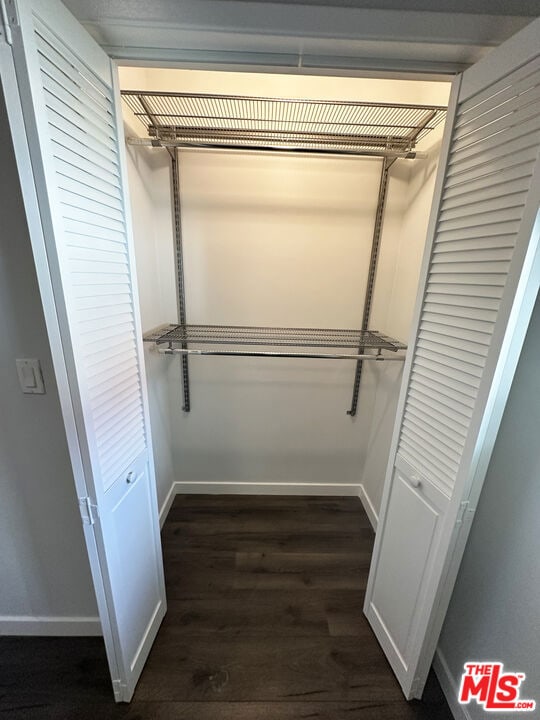 spacious closet with dark wood-type flooring