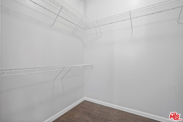 spacious closet featuring dark hardwood / wood-style floors