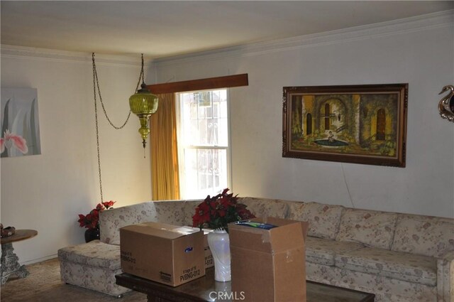 living room with crown molding