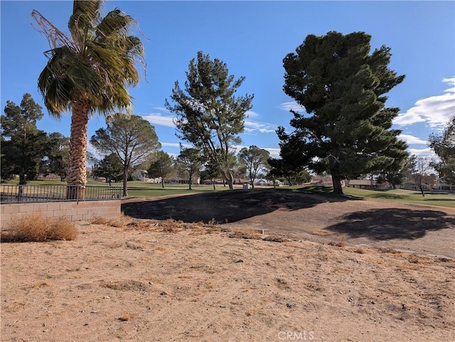 14907 Tournament Dr, Helendale, CA 92342 - photo 2