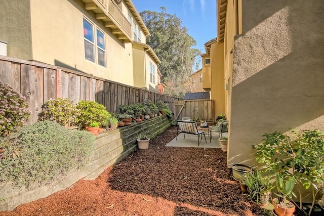 view of yard with a patio area