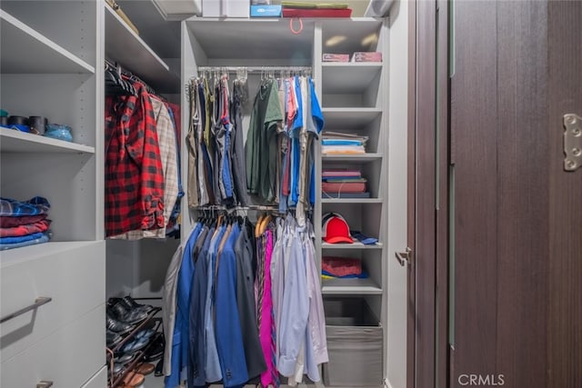 view of walk in closet