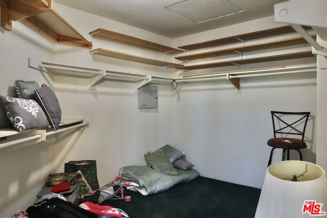 spacious closet with electric panel