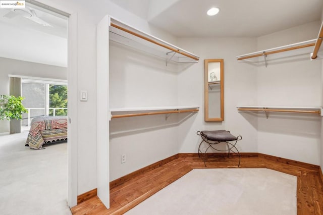 walk in closet with hardwood / wood-style flooring