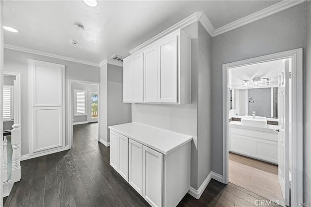 spacious closet featuring dark hardwood / wood-style floors and sink