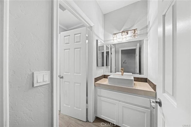 bathroom featuring wood-type flooring and vanity