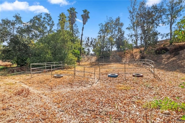 view of yard featuring a rural view