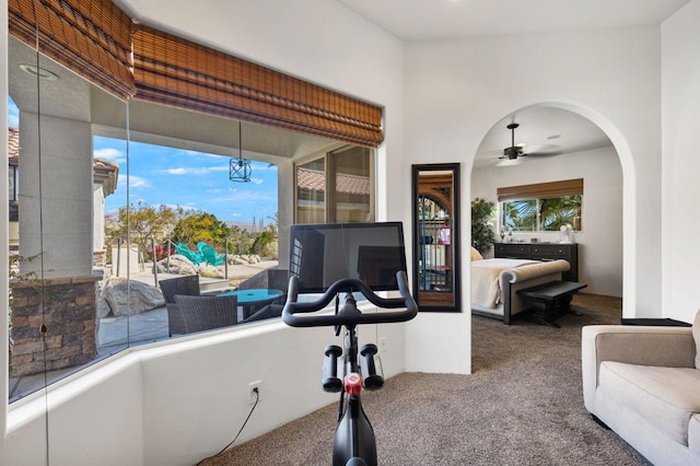 interior space featuring ceiling fan and carpet