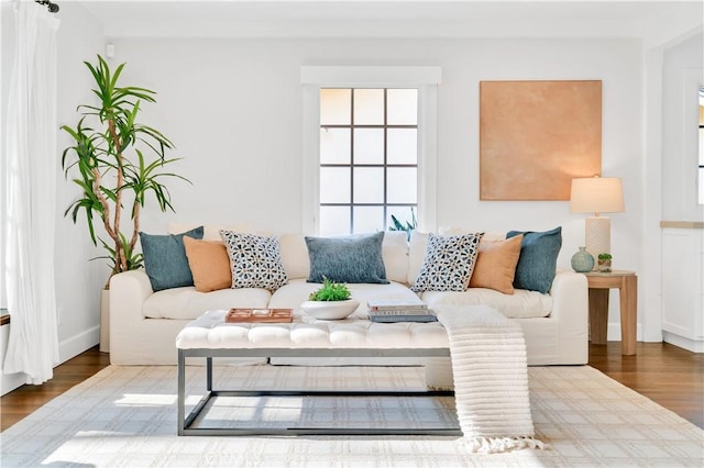 living room with hardwood / wood-style flooring