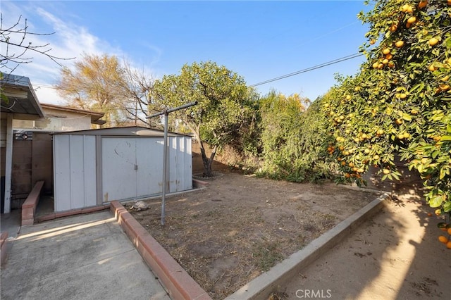 view of yard with a shed