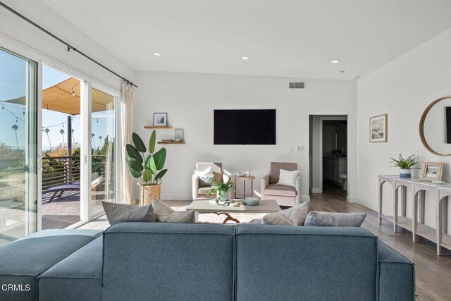 living room featuring wood-type flooring