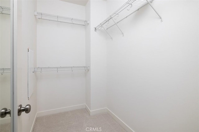 walk in closet featuring light colored carpet