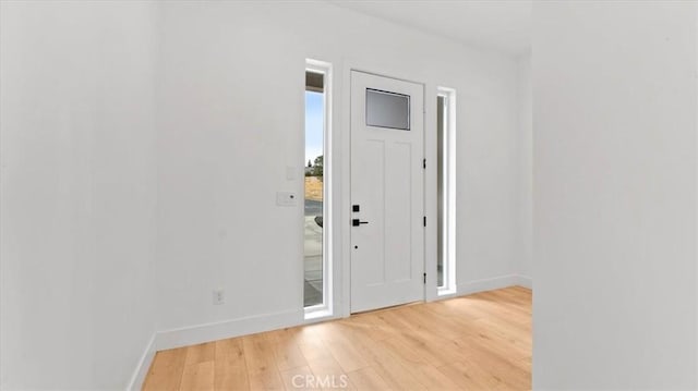 foyer entrance featuring wood-type flooring