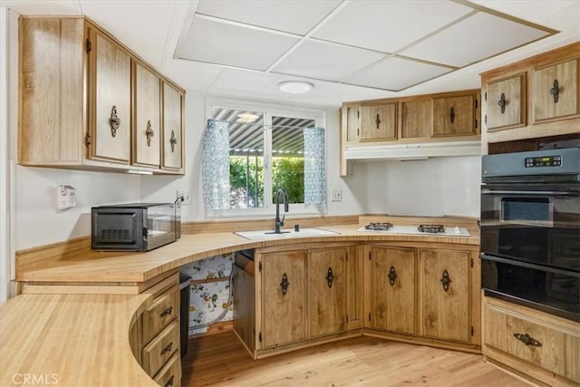 kitchen with light wood-type flooring, black appliances, under cabinet range hood, and a sink