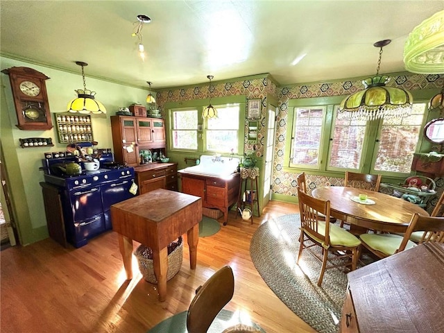 kitchen featuring double oven range, pendant lighting, and light wood-type flooring