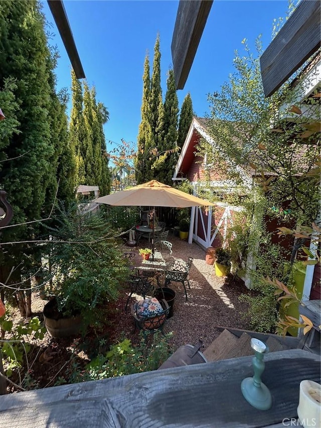 view of yard featuring a patio area