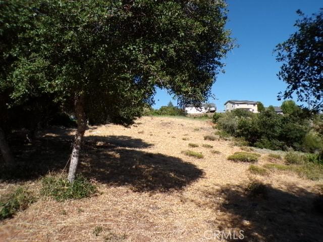 Listing photo 2 for 5050 Kiowan Way, Kelseyville CA 95451