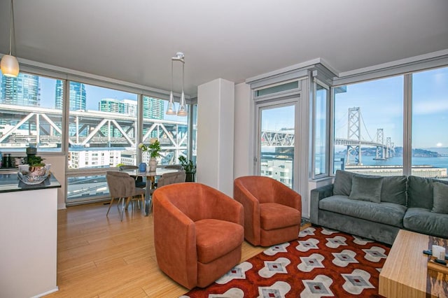 living room with a water view and light hardwood / wood-style floors