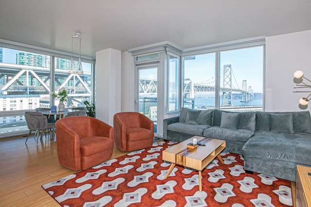 living room with hardwood / wood-style floors and a water view