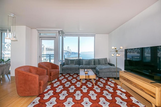 living room featuring hardwood / wood-style floors