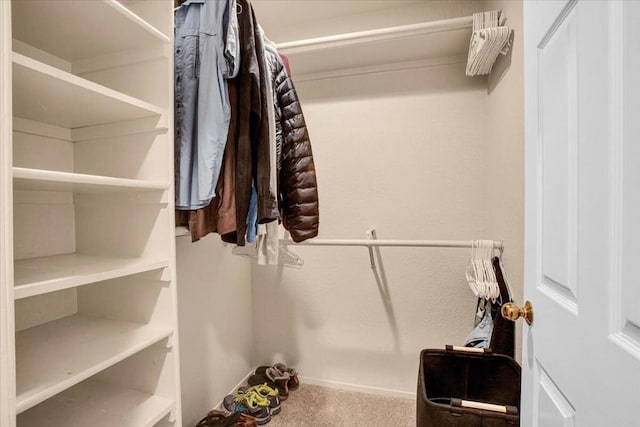 spacious closet with carpet floors