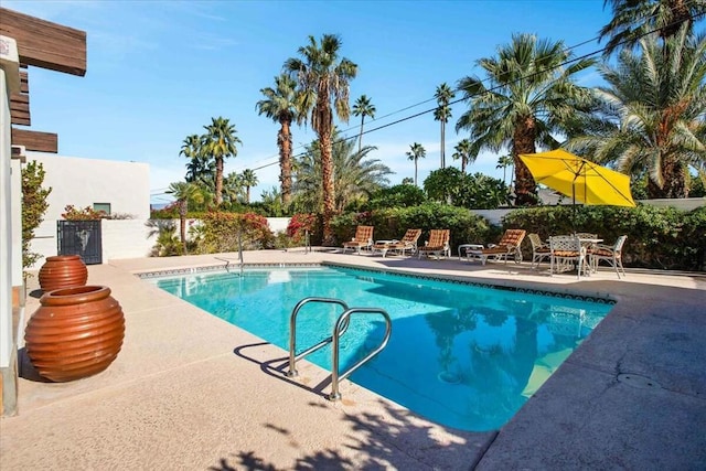 view of swimming pool with a patio