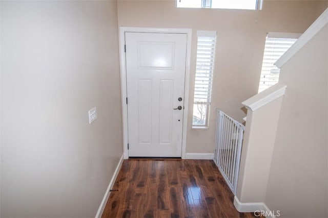 foyer entrance with dark hardwood / wood-style floors and a healthy amount of sunlight