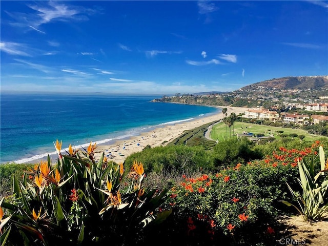 property view of water with a beach view