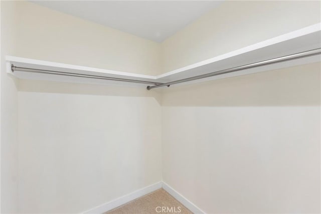 spacious closet featuring carpet floors