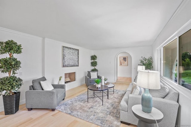 living room with light wood-type flooring and ornamental molding