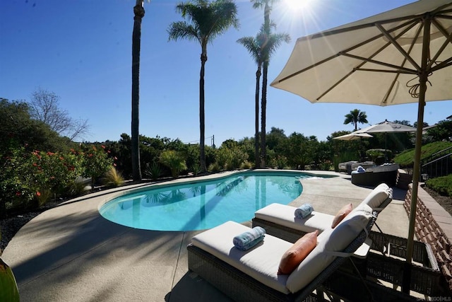 view of pool with a patio