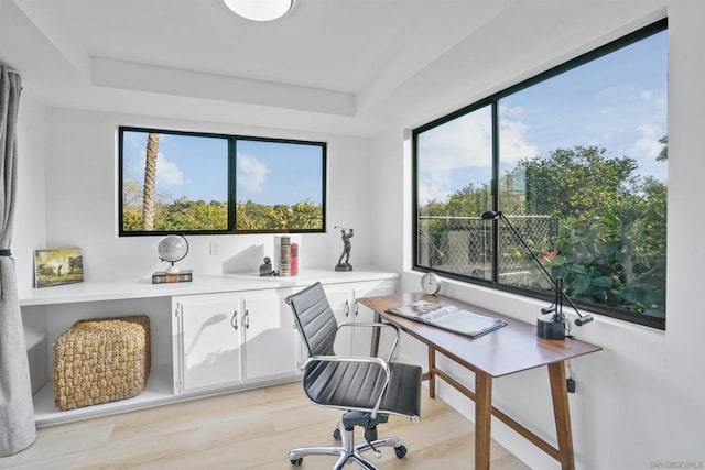 office with a raised ceiling and light hardwood / wood-style floors