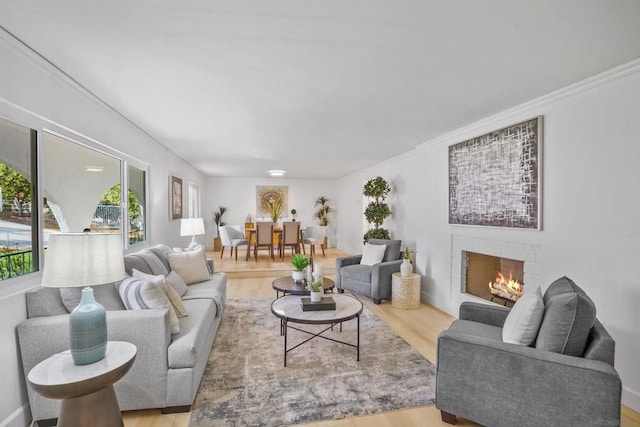 living room featuring ornamental molding and light hardwood / wood-style flooring