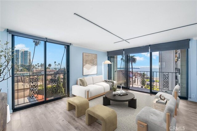 living room featuring a water view, expansive windows, and light hardwood / wood-style flooring