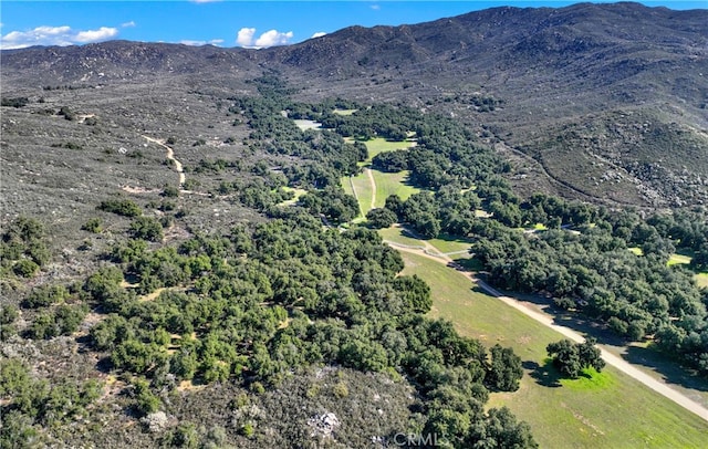 aerial view with a mountain view