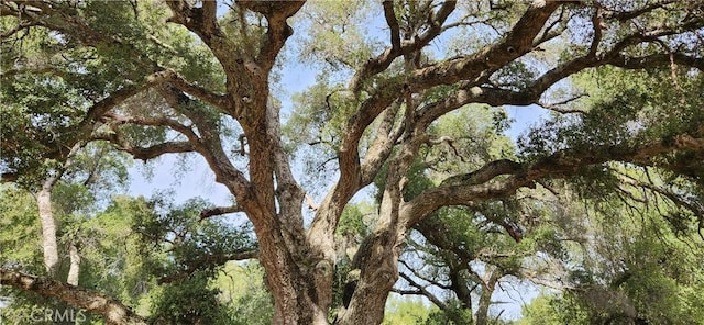 view of nature