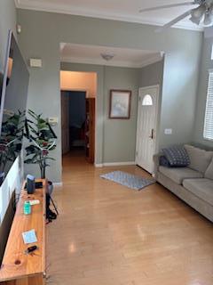 living room featuring ceiling fan, crown molding, and light hardwood / wood-style floors