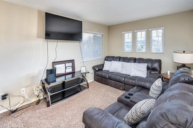 living room featuring carpet flooring