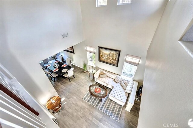 living room featuring a towering ceiling and hardwood / wood-style floors