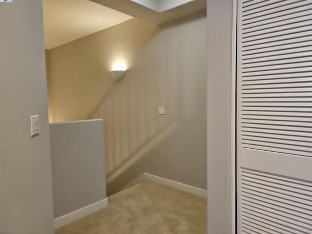 staircase featuring carpet