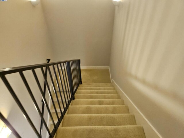 staircase with carpet floors