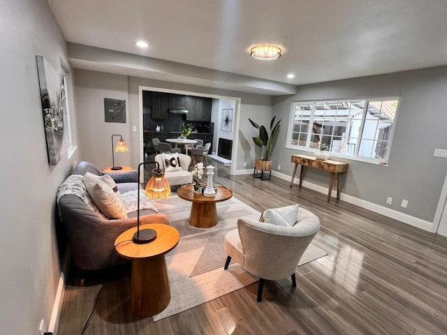 living room featuring wood-type flooring